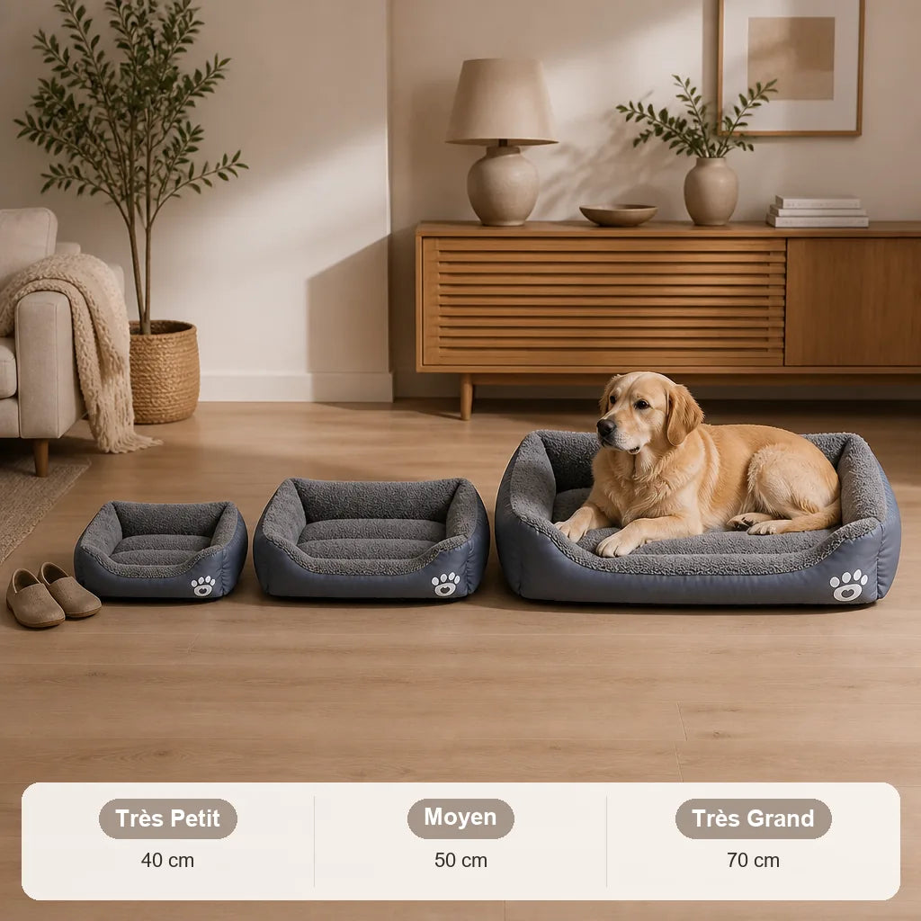 lit-indestructible-pour-chien