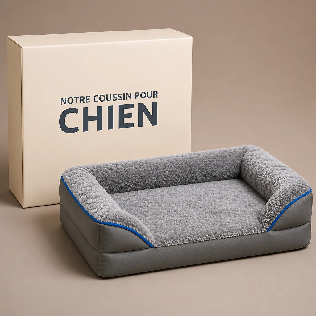 lit-m-moire-de-forme-pour-chien