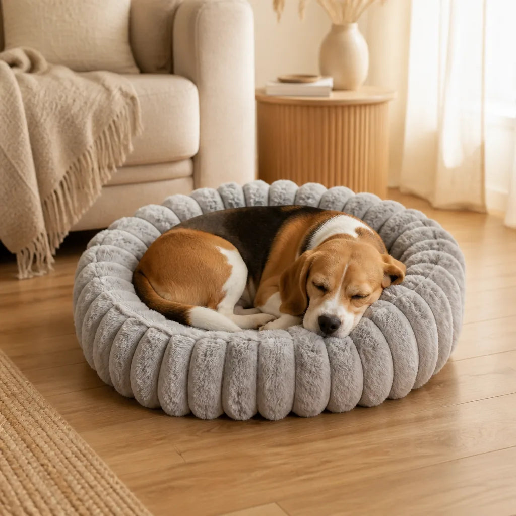 [ANCIEN] supprimer — Lit Nuage Pour Chien