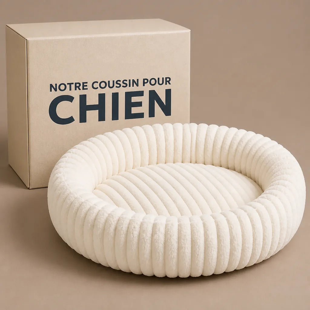 lit-nuage-pour-chien