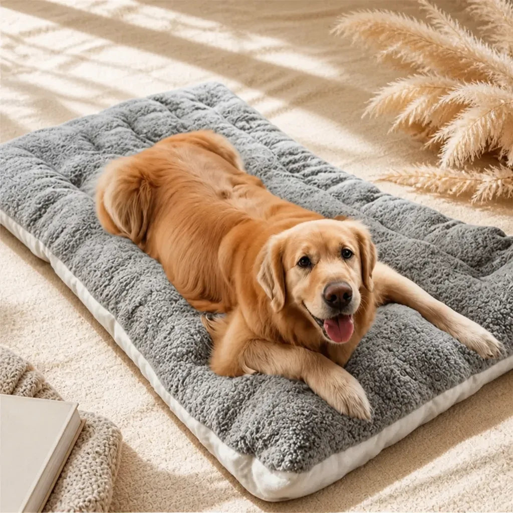 [ANCIEN] supprimer — Lit Orthopédique Pour Chien