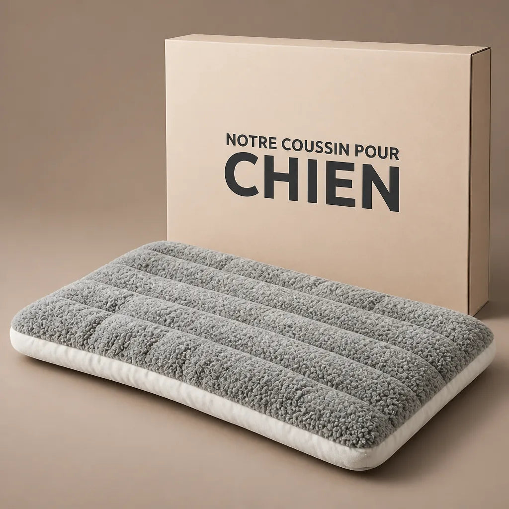 lit-orthopedique-pour-chien