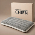lit-orthopedique-pour-chien