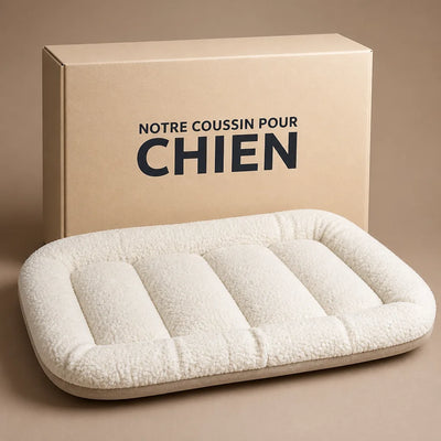 VOTRE ARTICLE