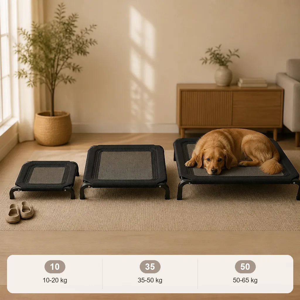 lit-pliant-pour-chien