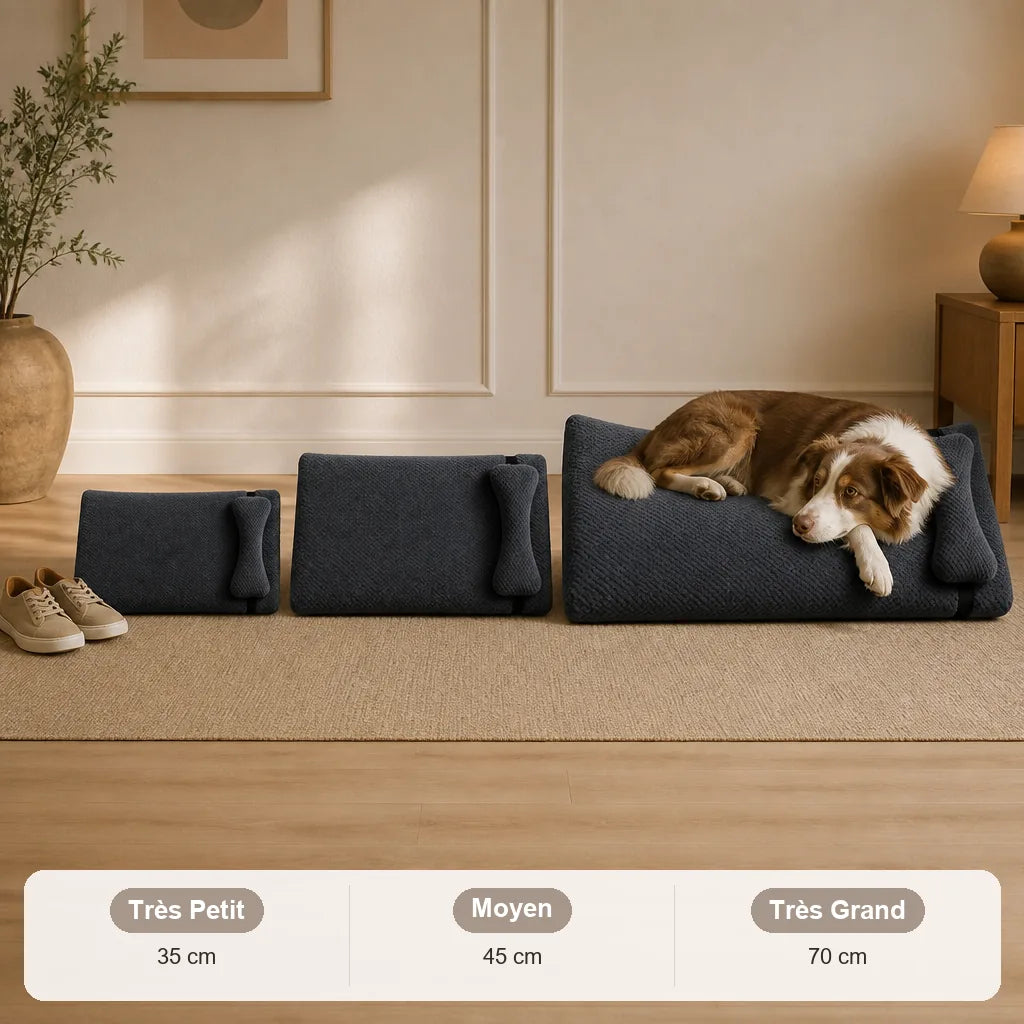 lit-pour-2-chiens