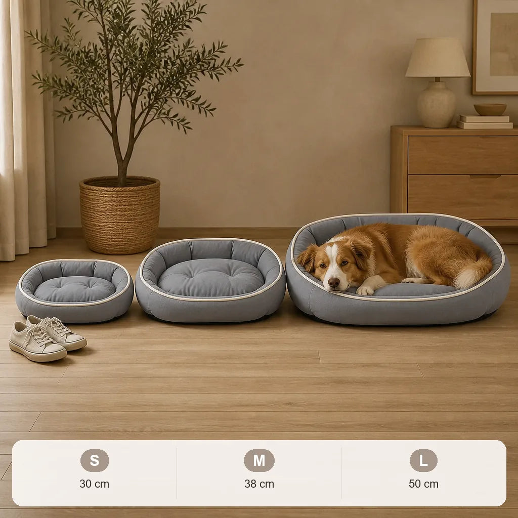 lit-pour-chien-arthrose