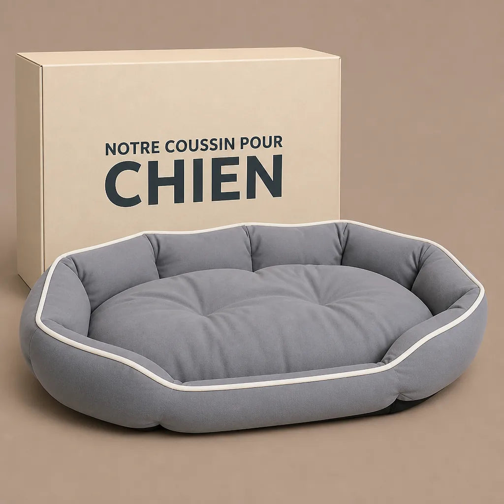 lit-pour-chien-arthrose