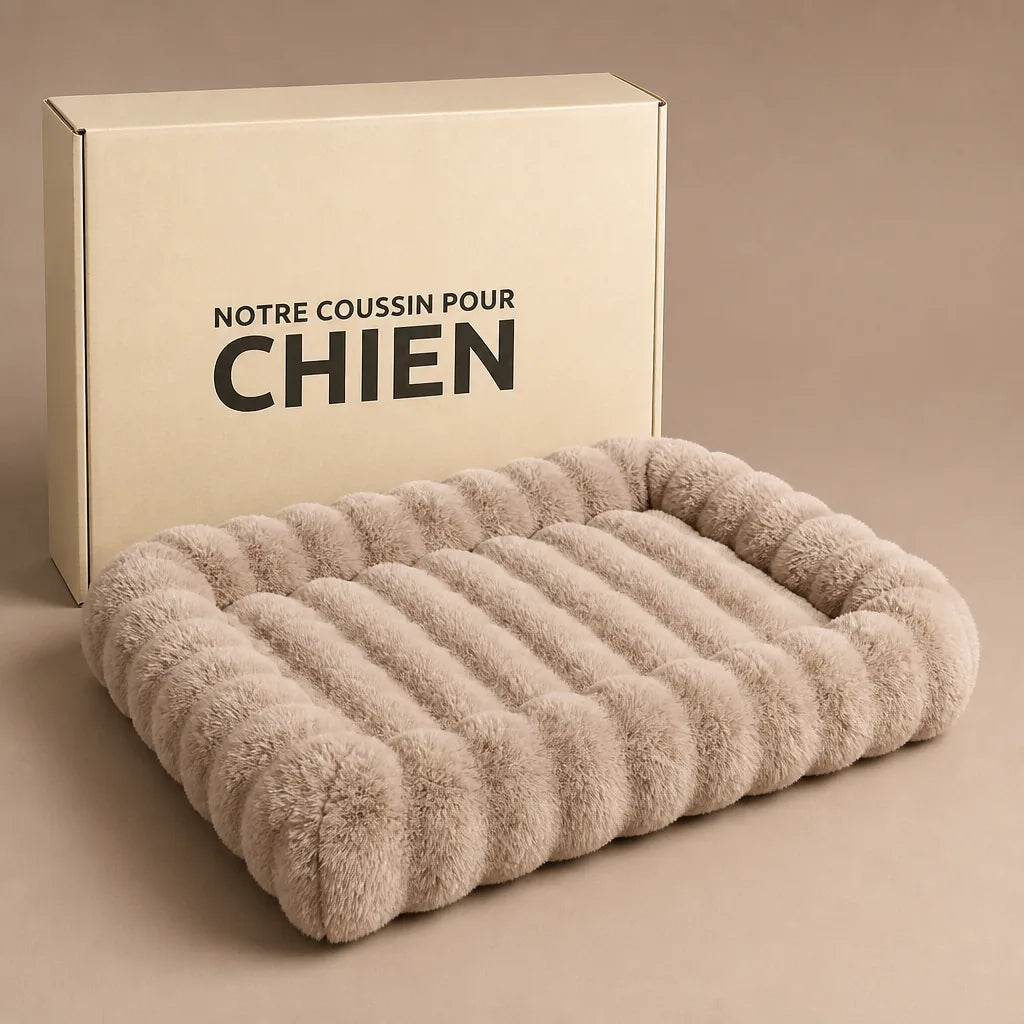 lit-pour-chien-canape