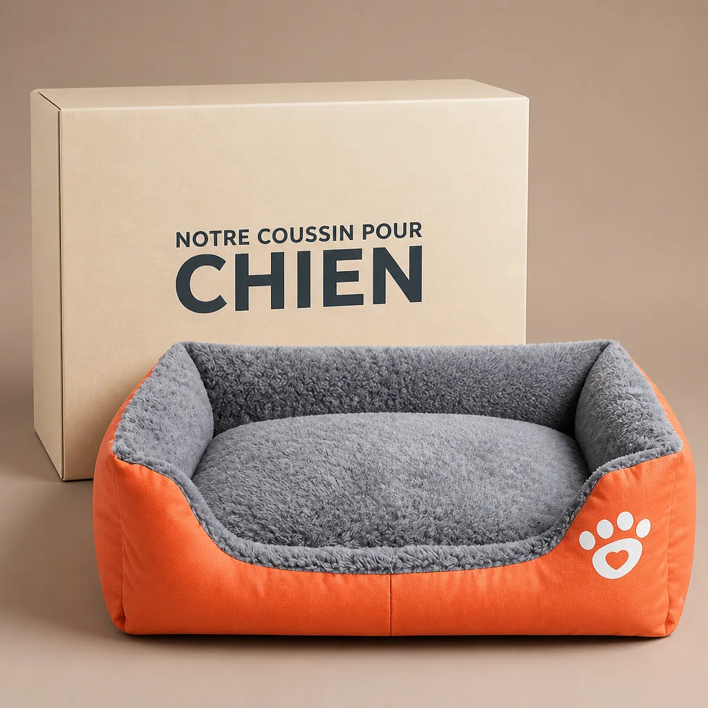 lit-pour-chien-chihuahua