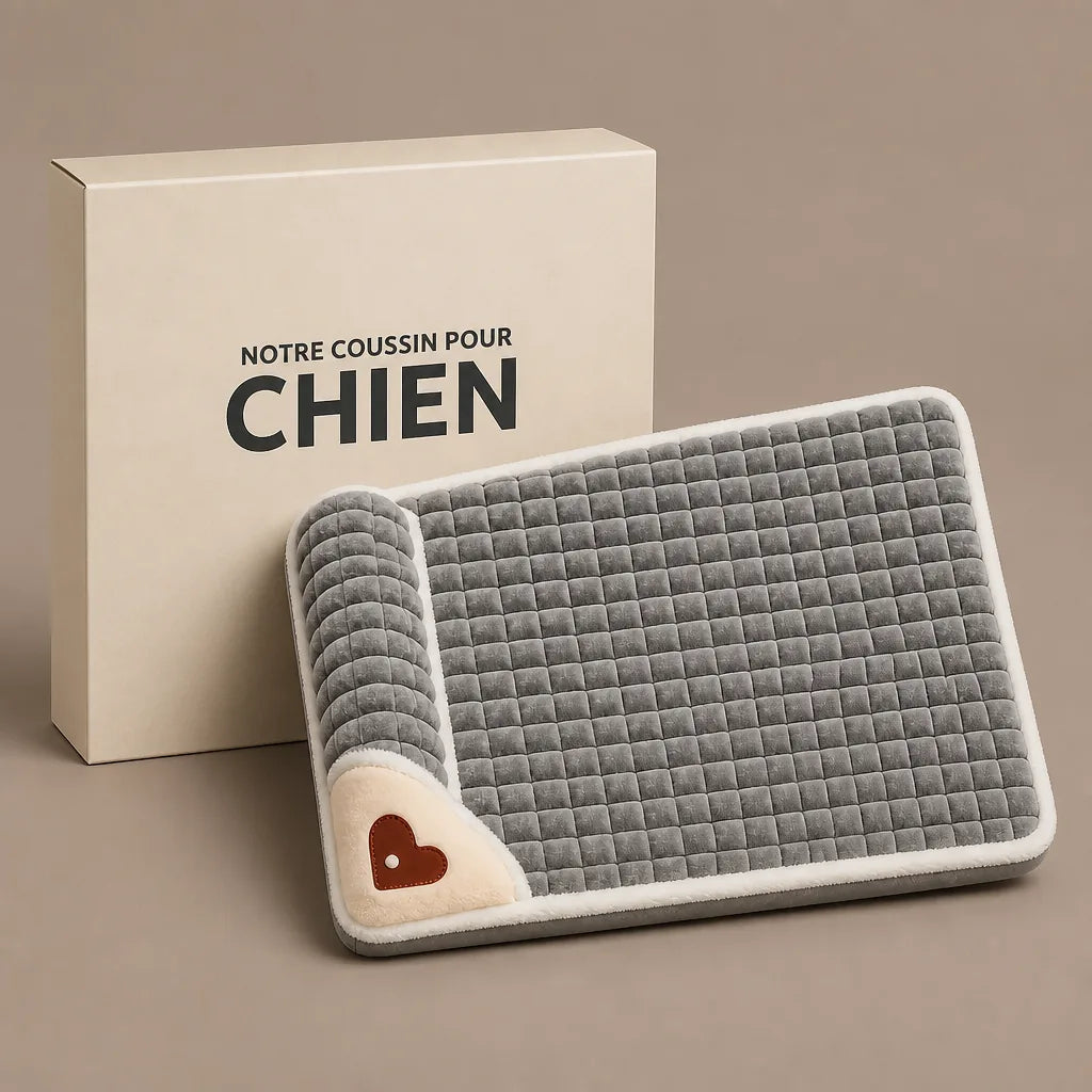 lit-pour-chien-de-luxe