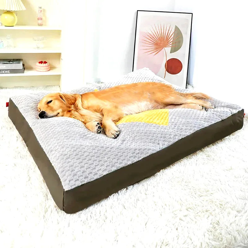 lit-pour-chien-dehoussable