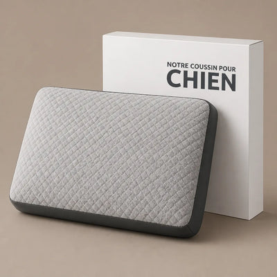 COUSSIN SOLO