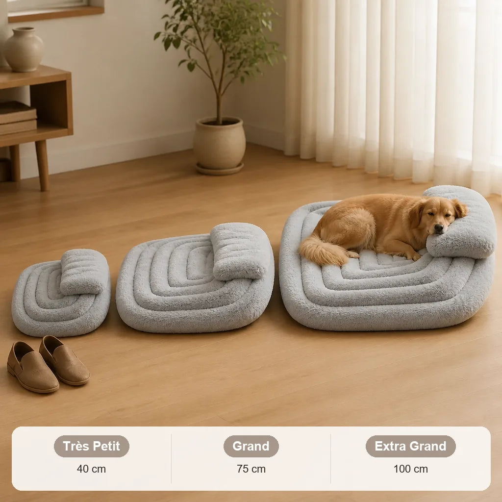 lit-pour-chien-design