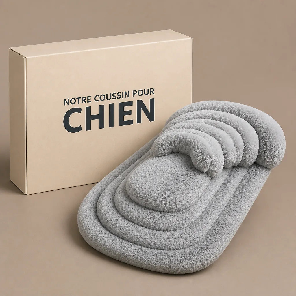 lit-pour-chien-design