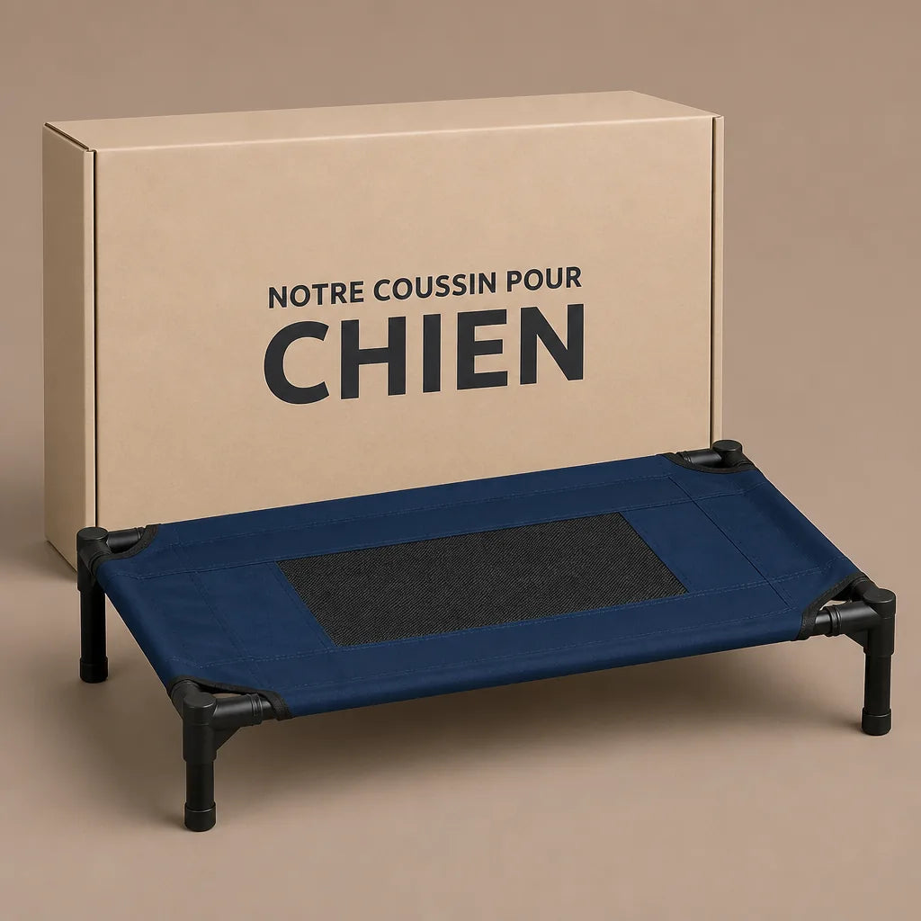 lit-pour-chien-en-hauteur