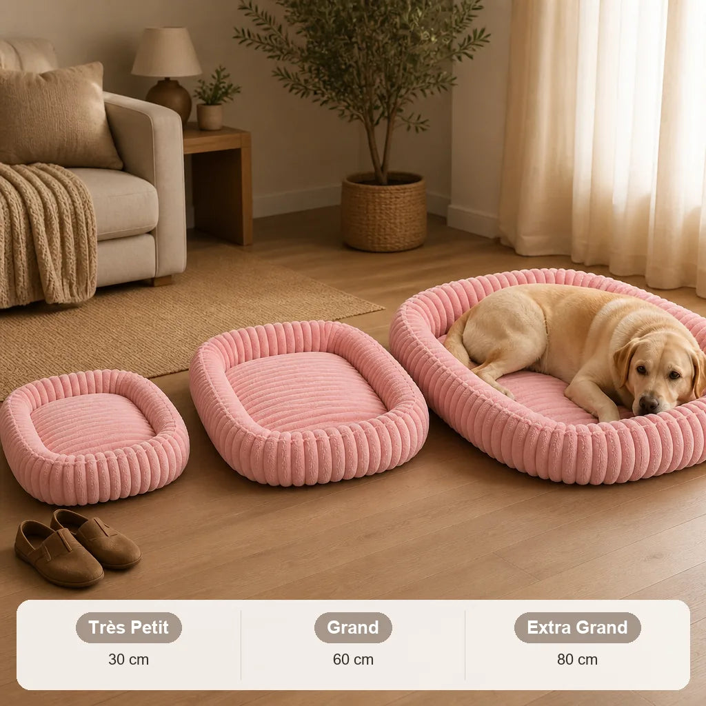 lit-pour-chien-labrador
