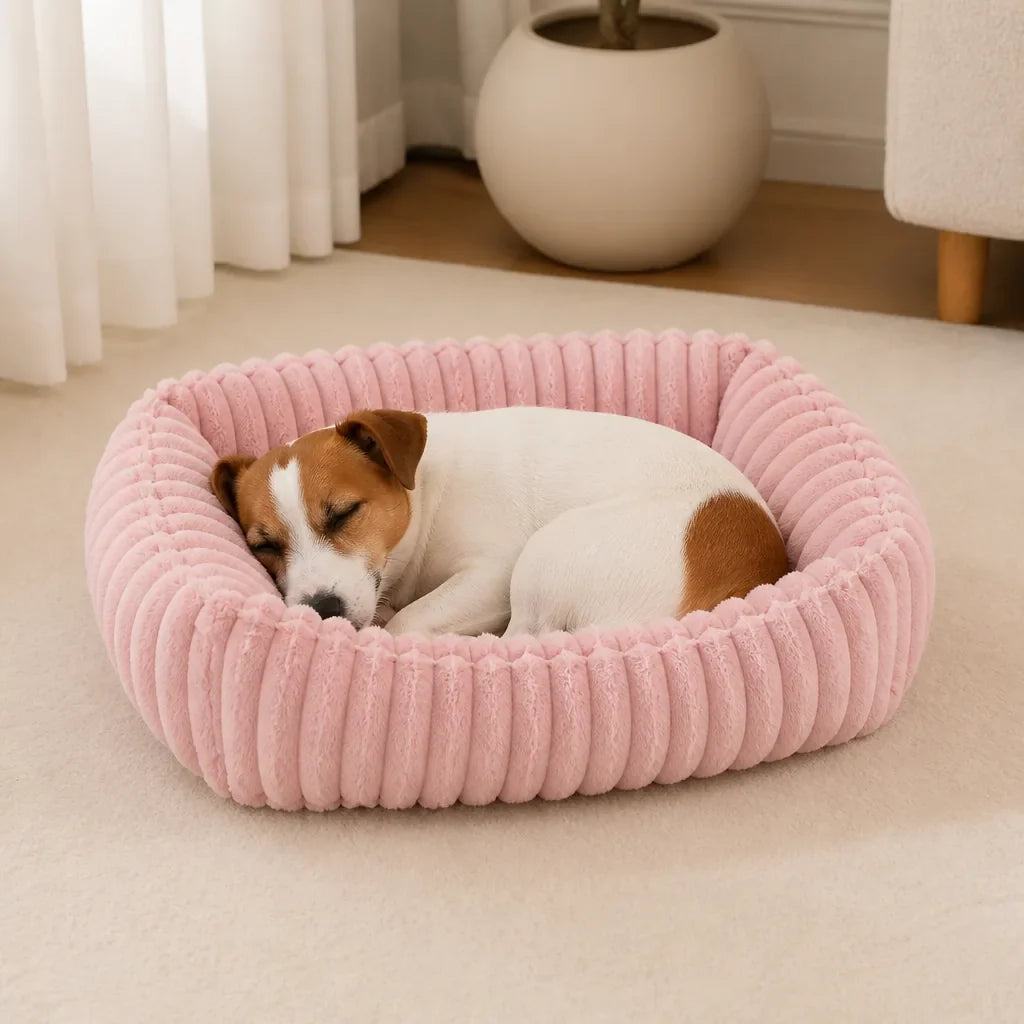 [ANCIEN] supprimer — Lit Pour Chien Labrador