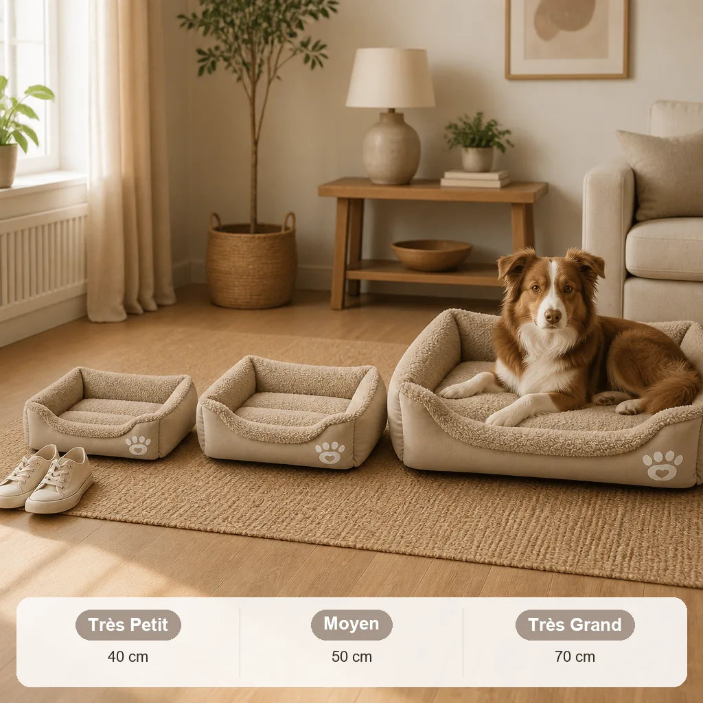 lit-pour-chien-moyen