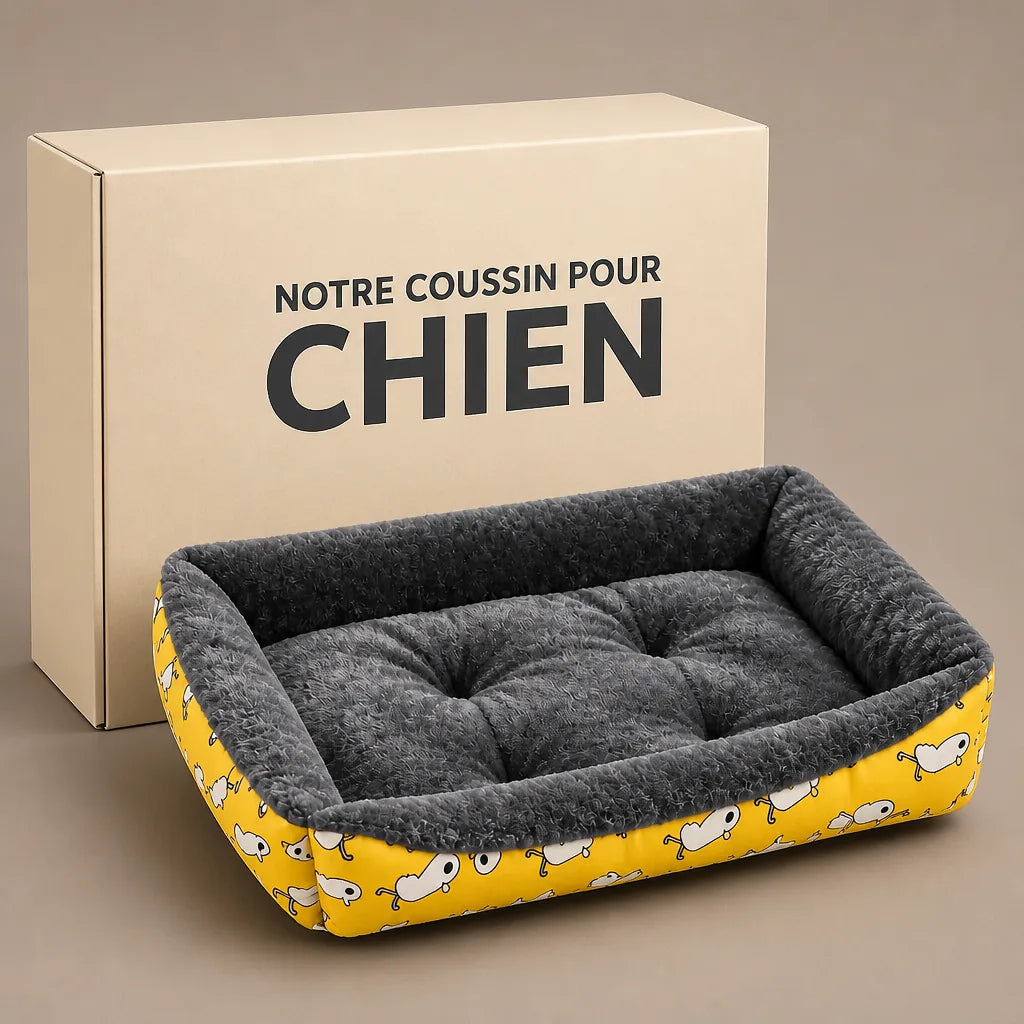 lit-pour-chien-pas-cher