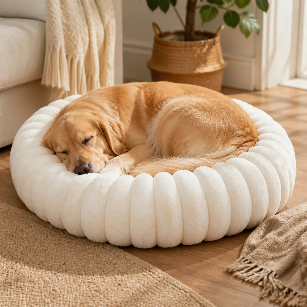 lit-pour-chien-rond