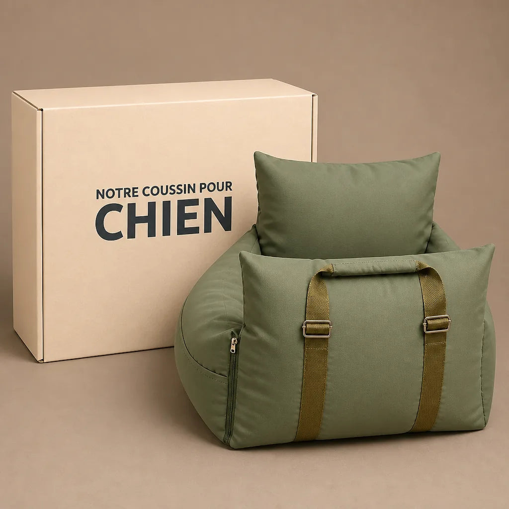 lit-pour-chien-voiture