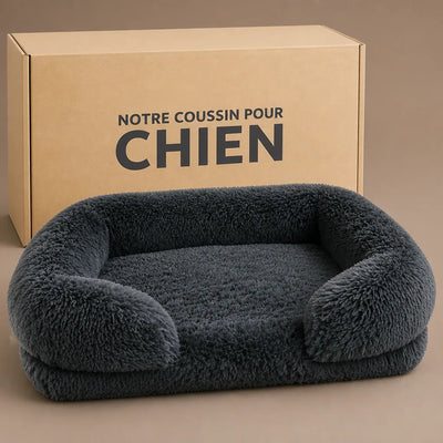 VOTRE ARTICLE