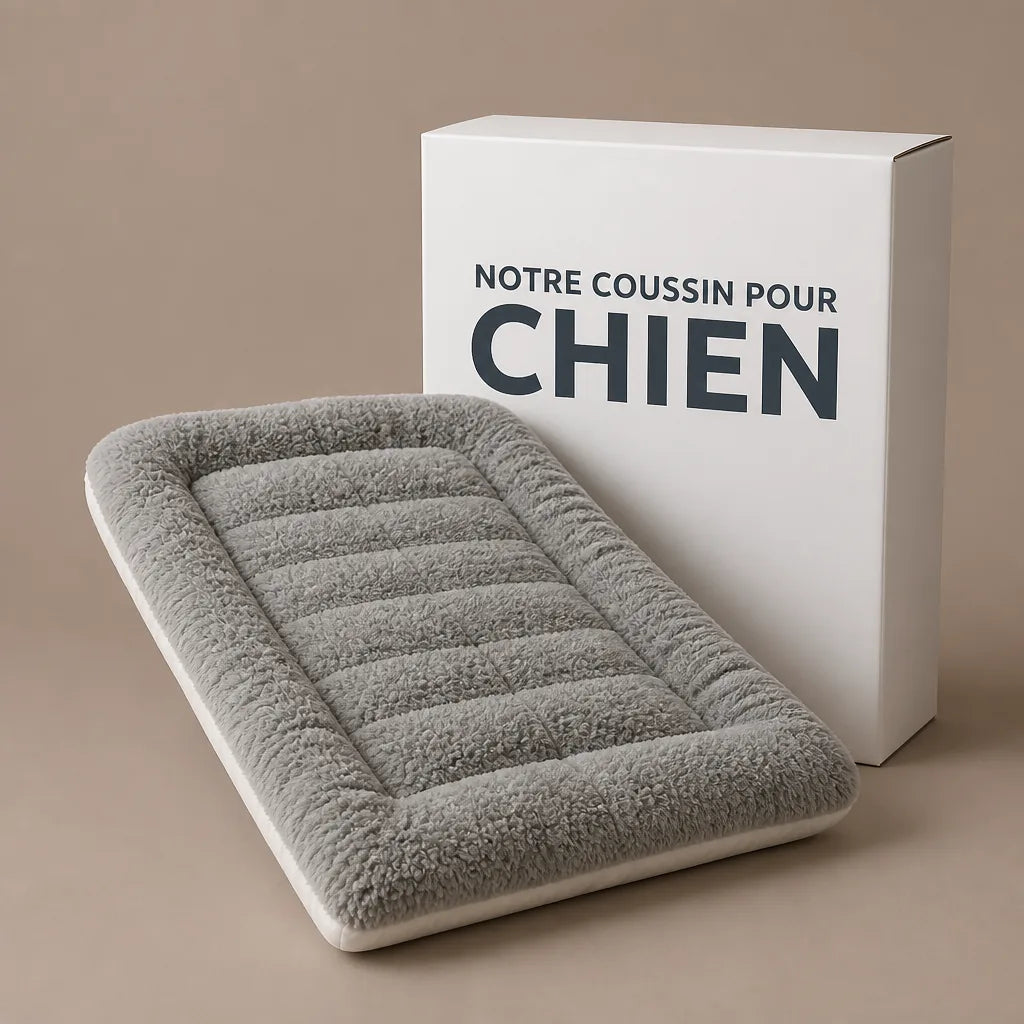 Lit Pour Grand Chien