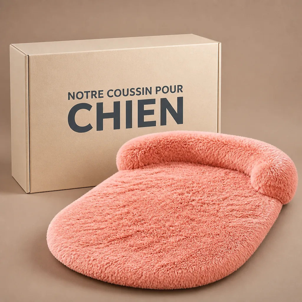 lit-pour-petit-chien