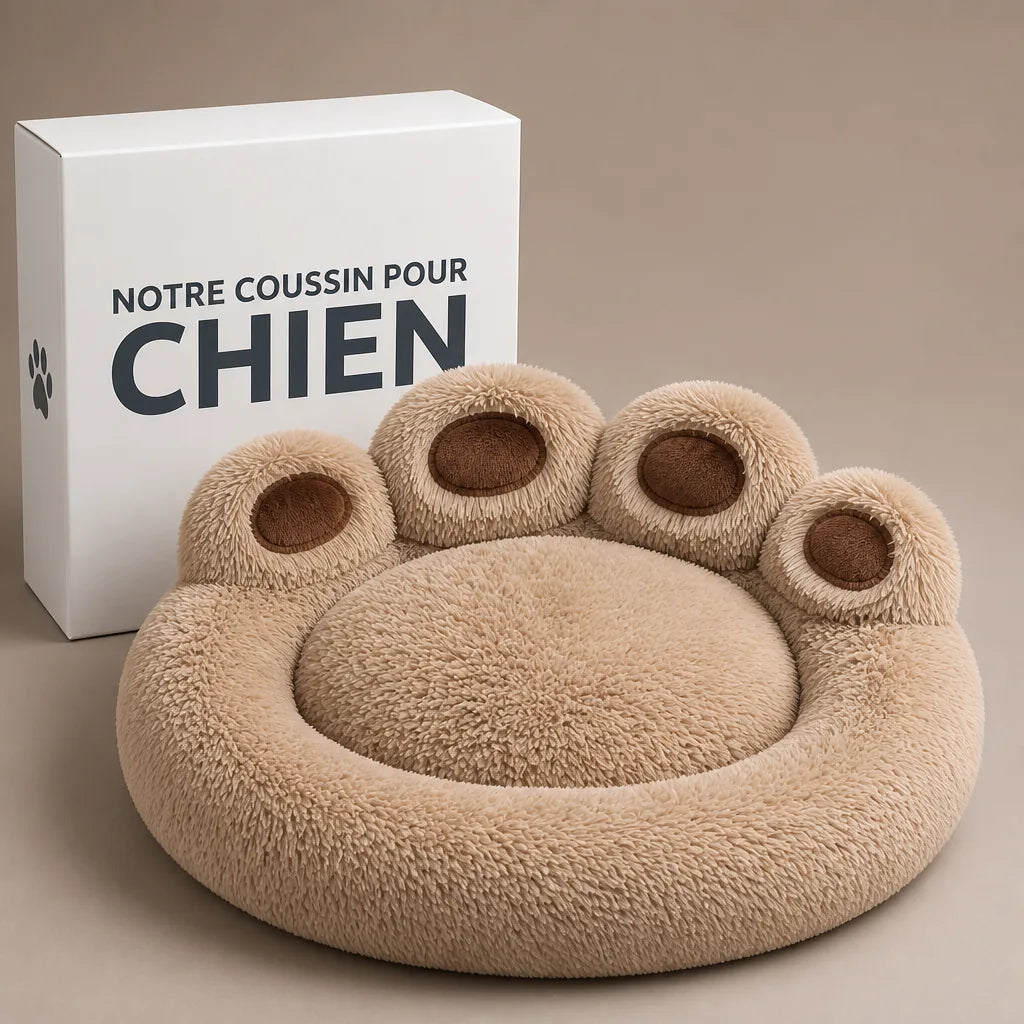 Lit Rond Pour Chien
