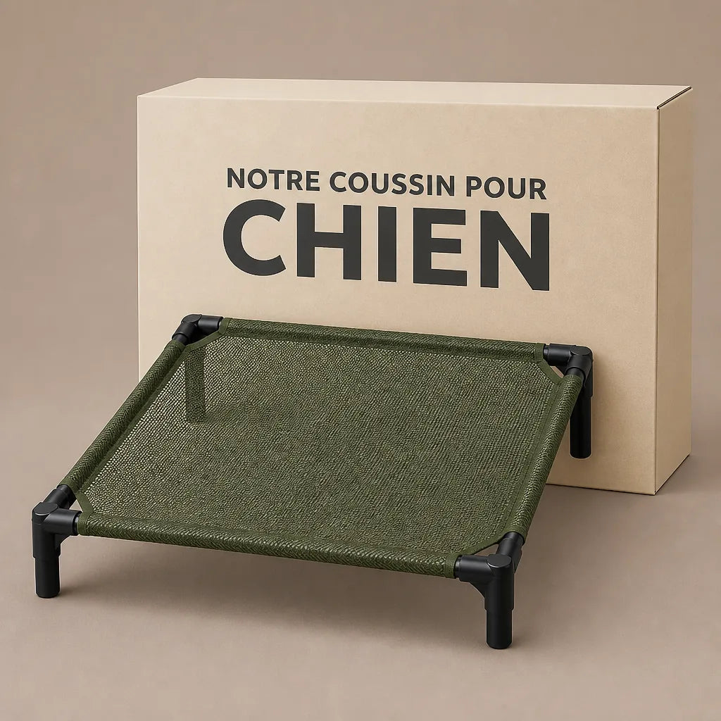 lit-superpose-pour-chien