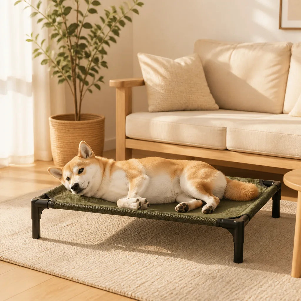 Lit Superposé Pour Chien