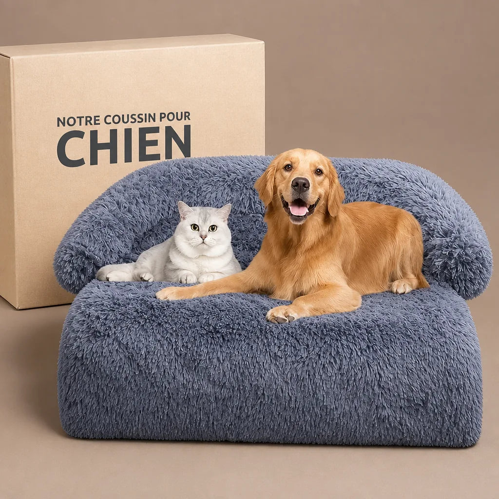 lit-sur-pied-pour-chien