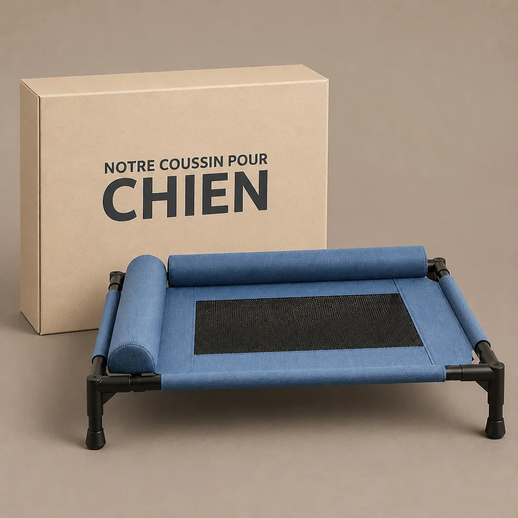 lit-sureleve-pour-grand-chien