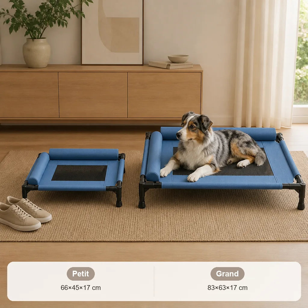 lit-sureleve-pour-grand-chien