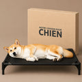 lit-trampoline-pour-chien