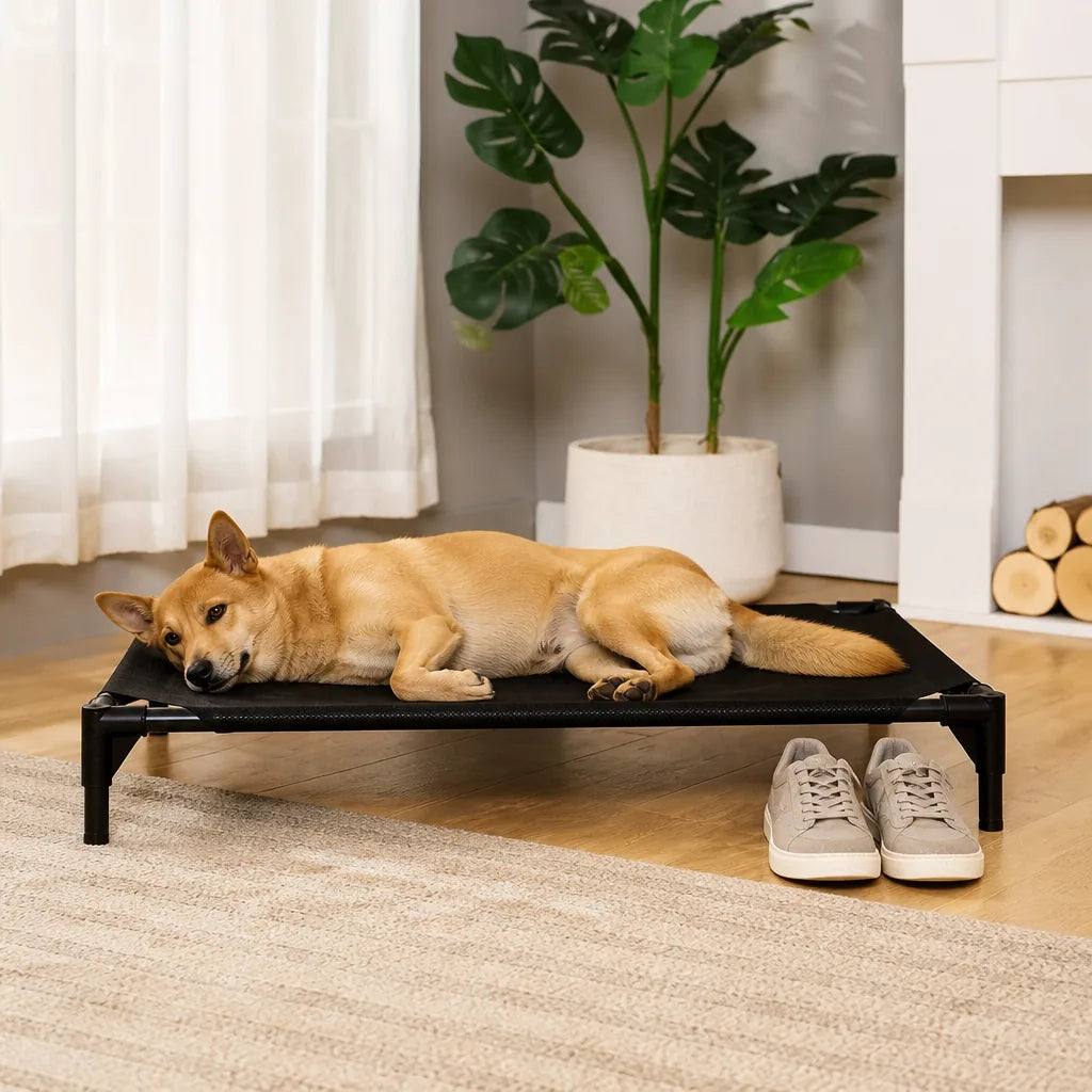 lit-trampoline-pour-chien