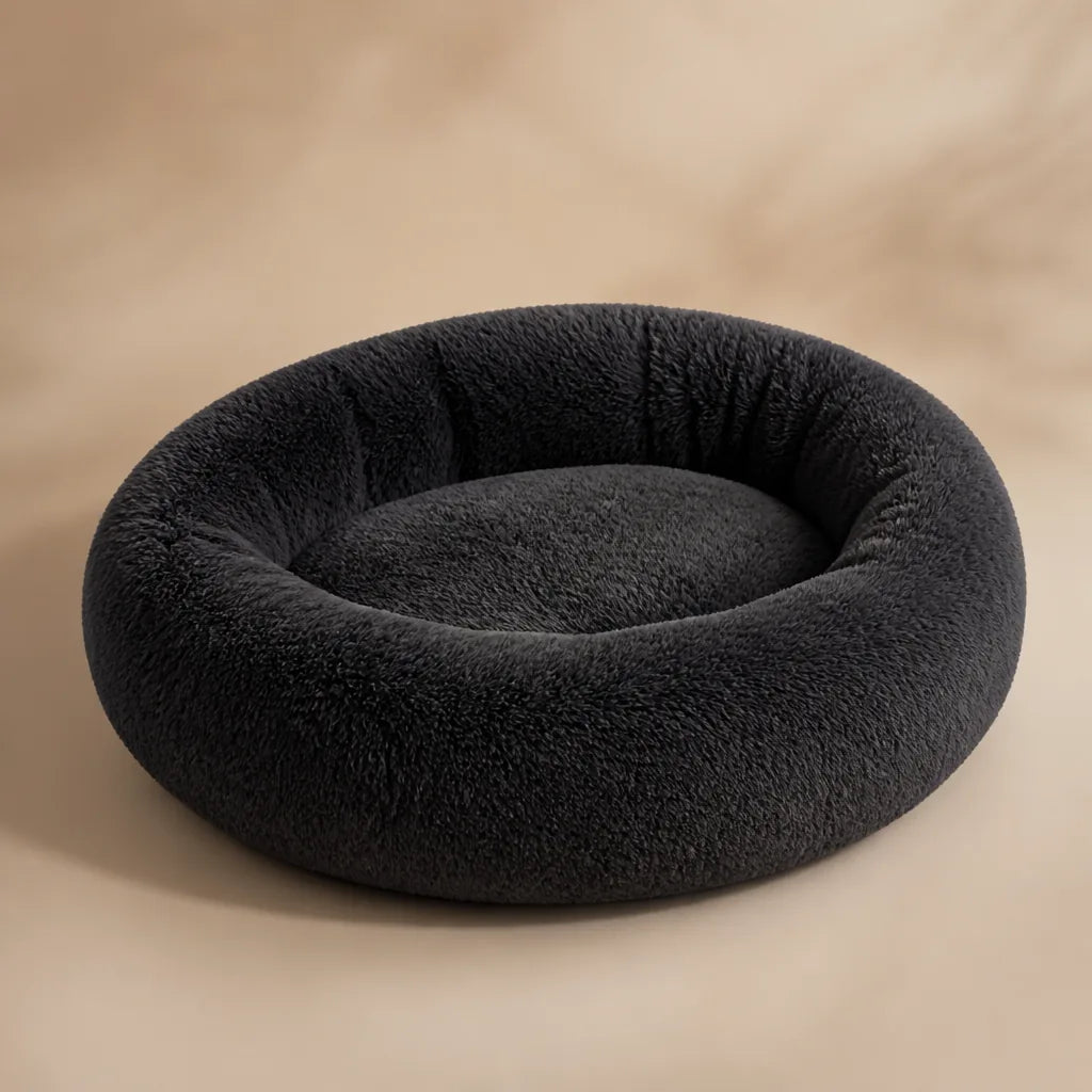 Lit Xxl Pour Chien