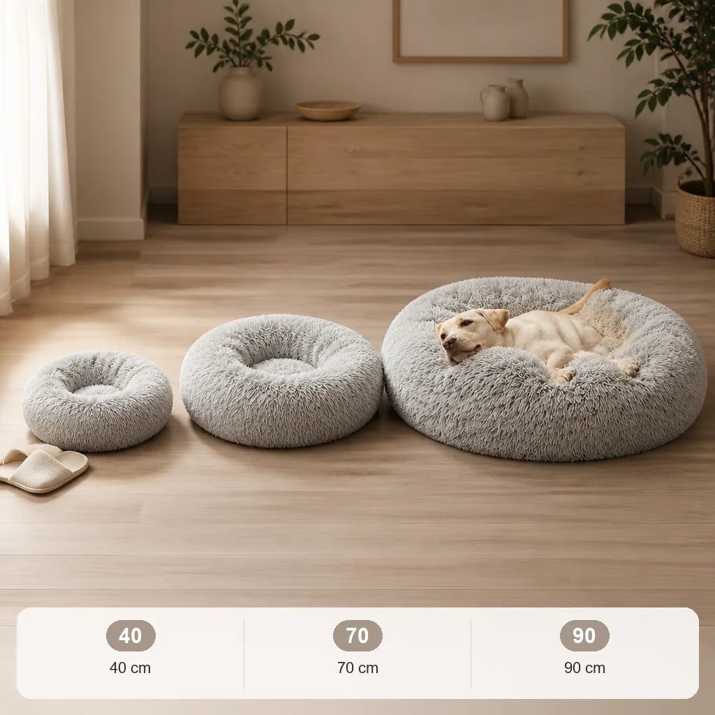 lit-xxl-pour-chien