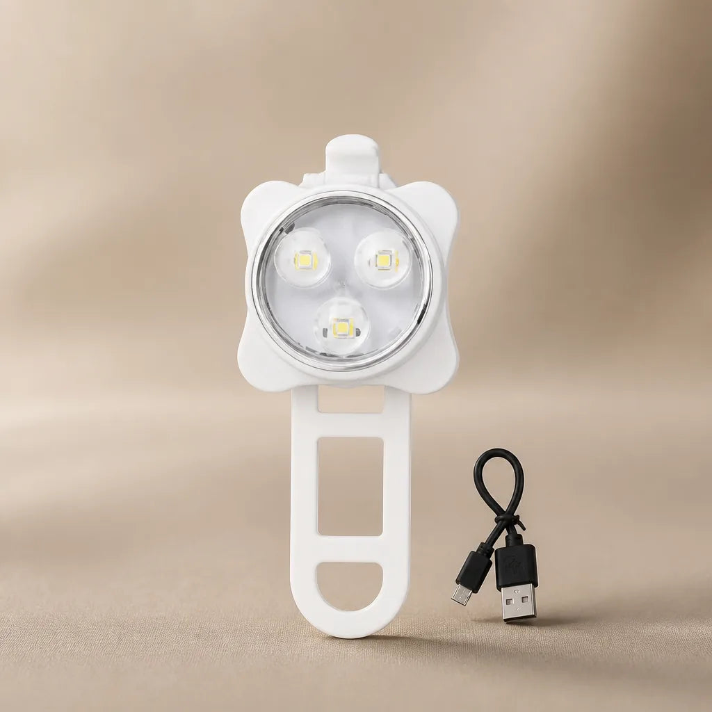 Lumière Pour Harnais Chien