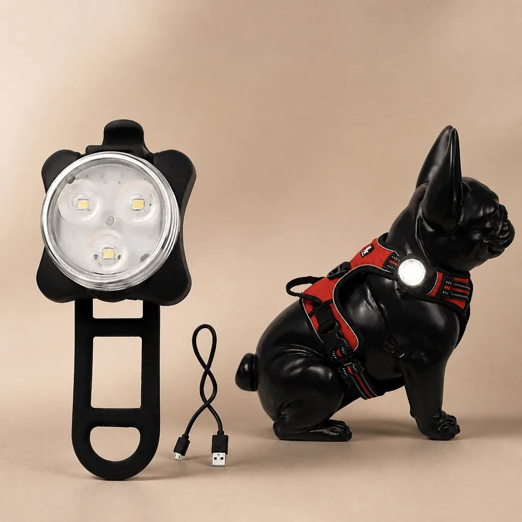 Lumière Pour Harnais Chien