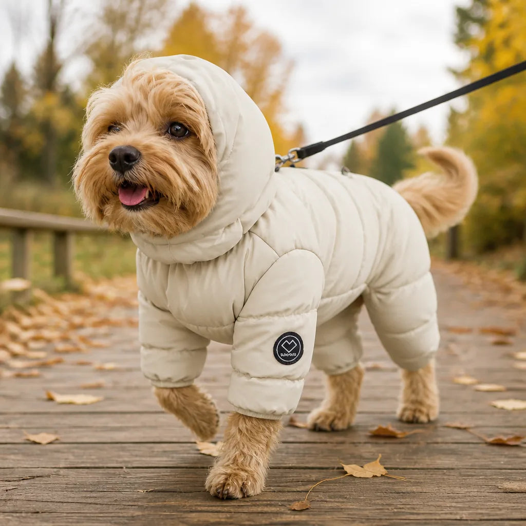 manteau-bobby-pour-chien