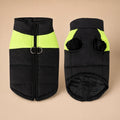 Manteau De Ski Pour Chien