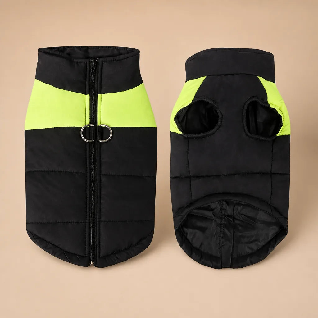 Manteau De Ski Pour Chien