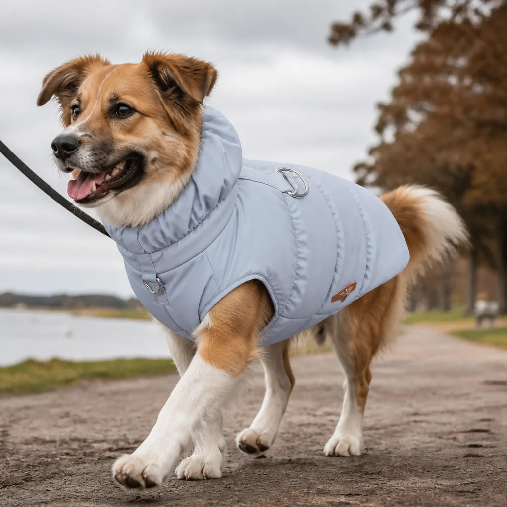 manteau-doudoune-pour-chien