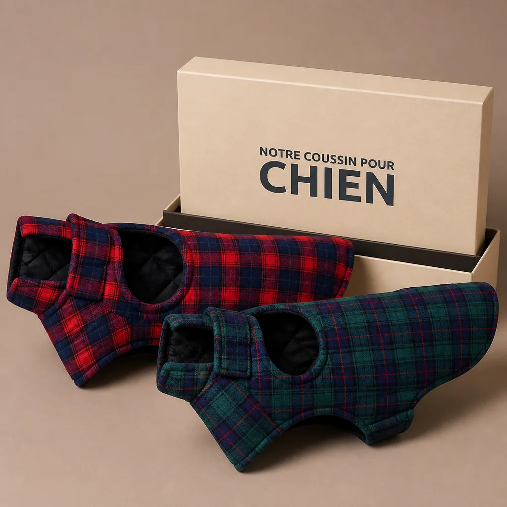 manteau-ecossais-pour-chien