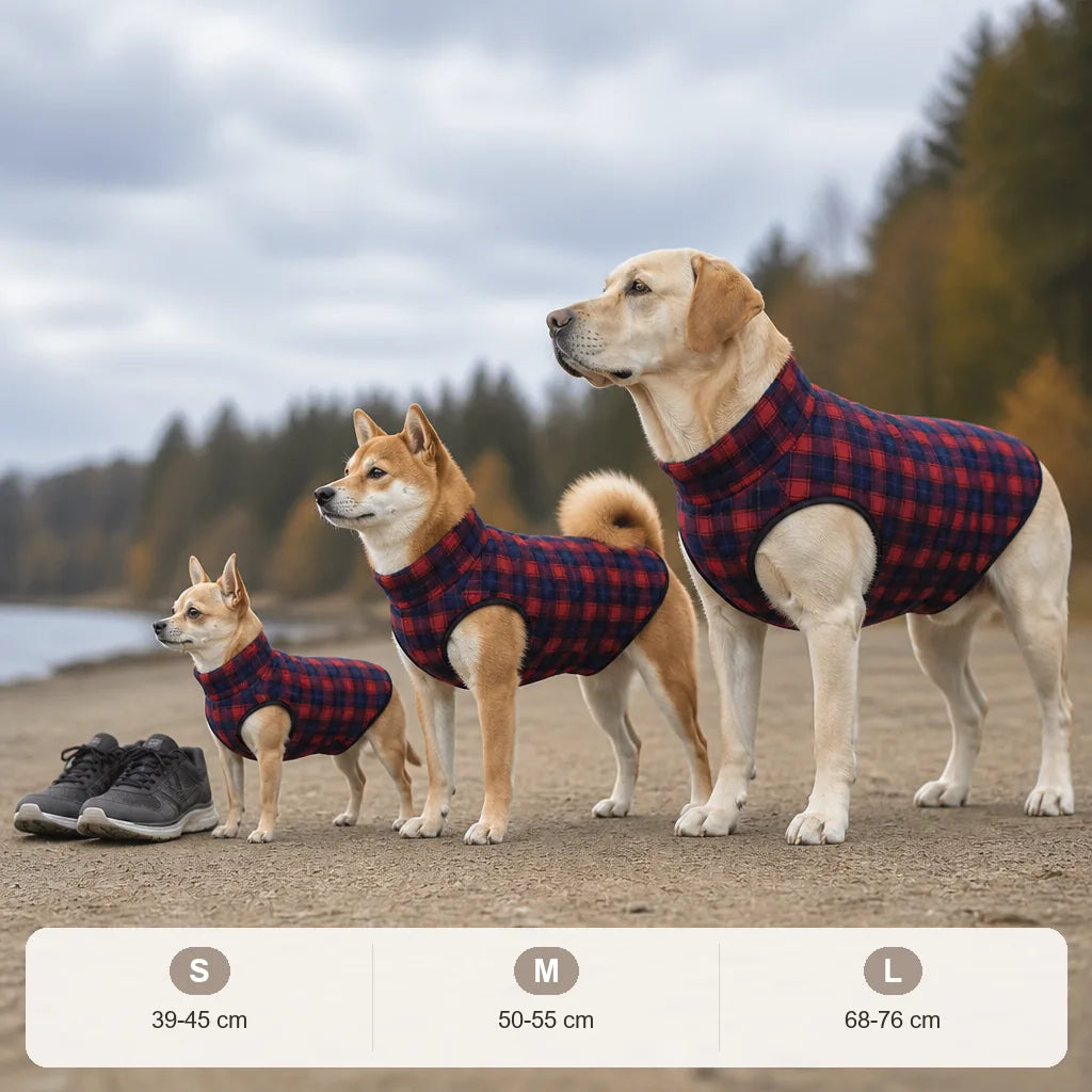 manteau-ecossais-pour-chien