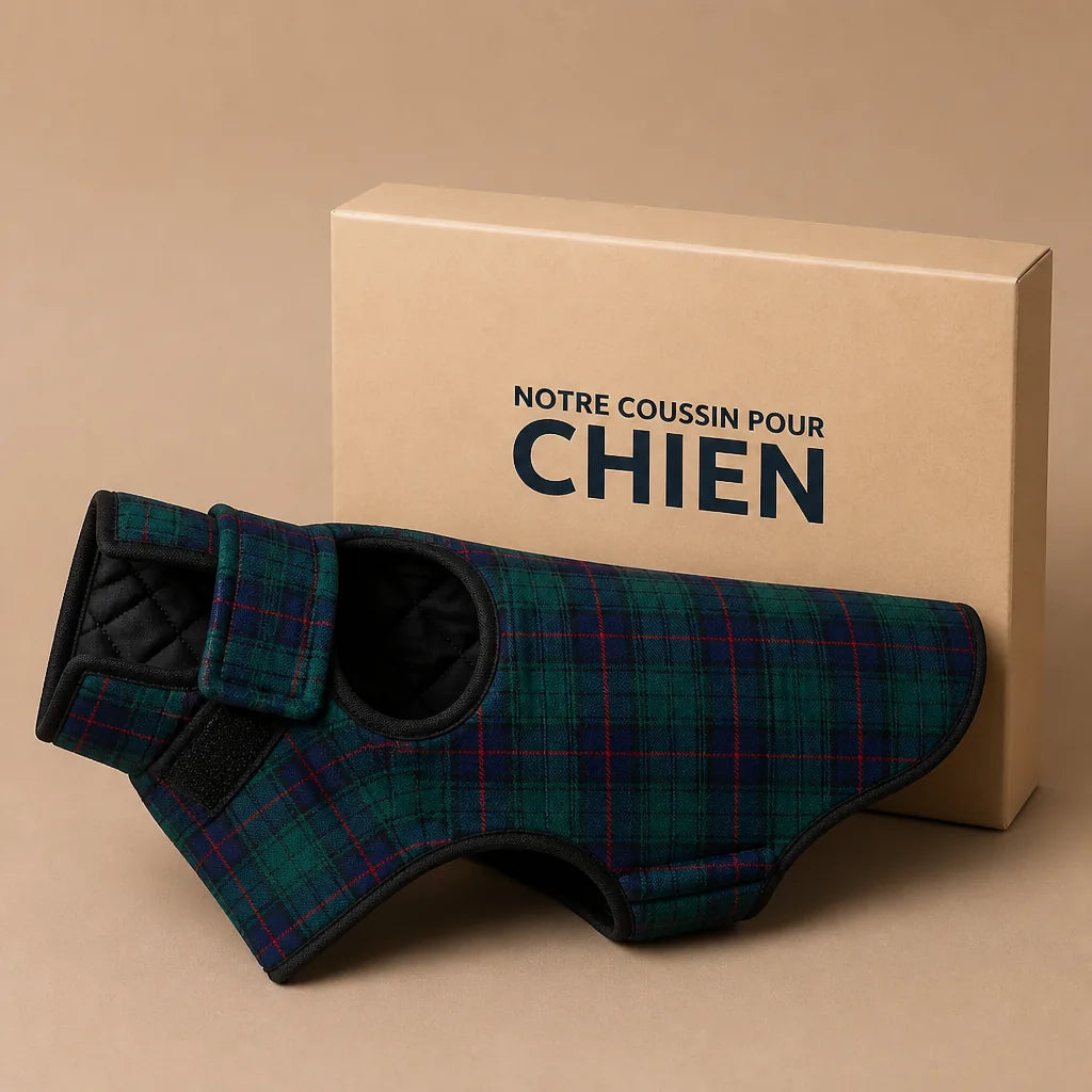 Manteau Ecossais Pour Chien
