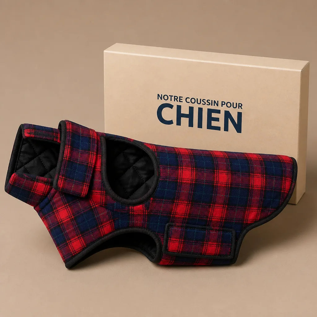 Manteau Ecossais Pour Chien