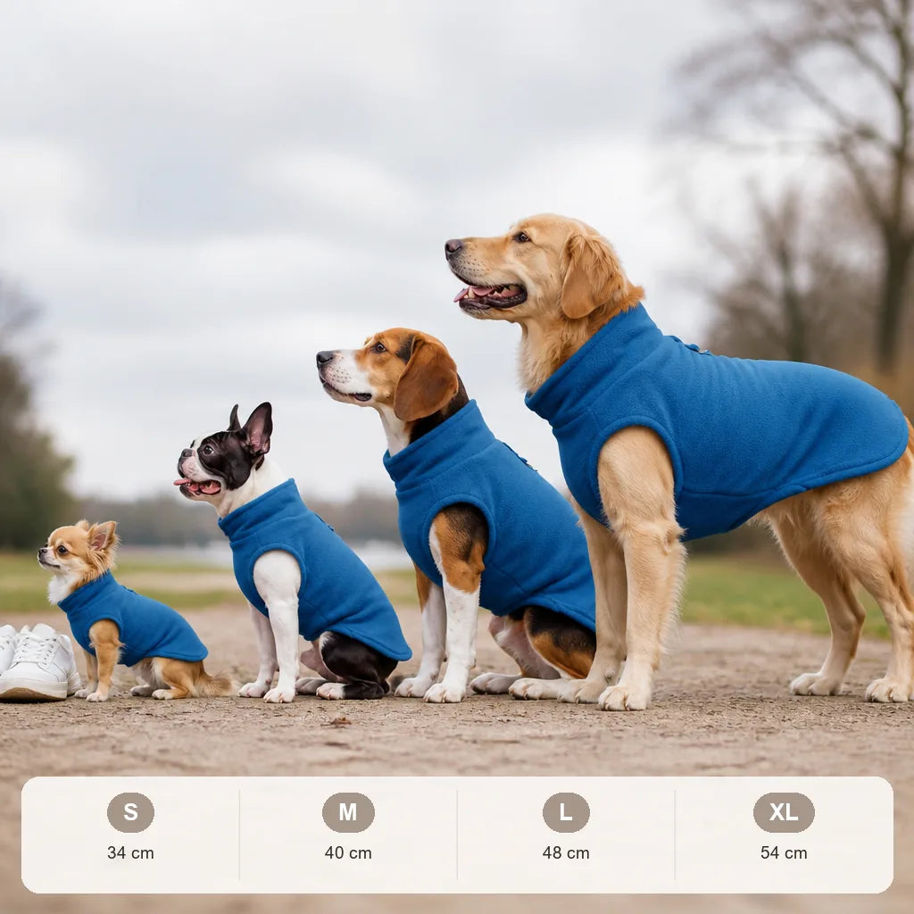manteau-en-laine-pour-petit-chien
